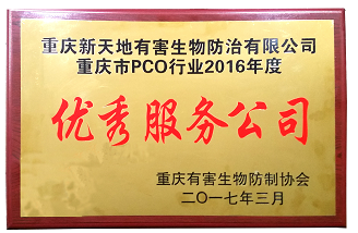 優(yōu)秀服務(wù)公司